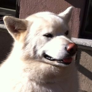 Meet your Posher, Enrique